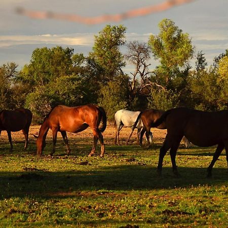 Beaconsfield Farm Βίλα Hofmeyr Εξωτερικό φωτογραφία
