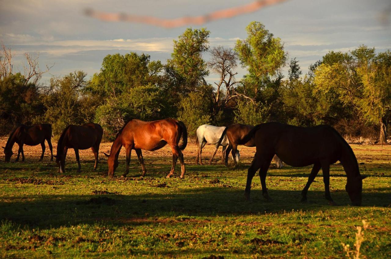 Beaconsfield Farm Βίλα Hofmeyr Εξωτερικό φωτογραφία