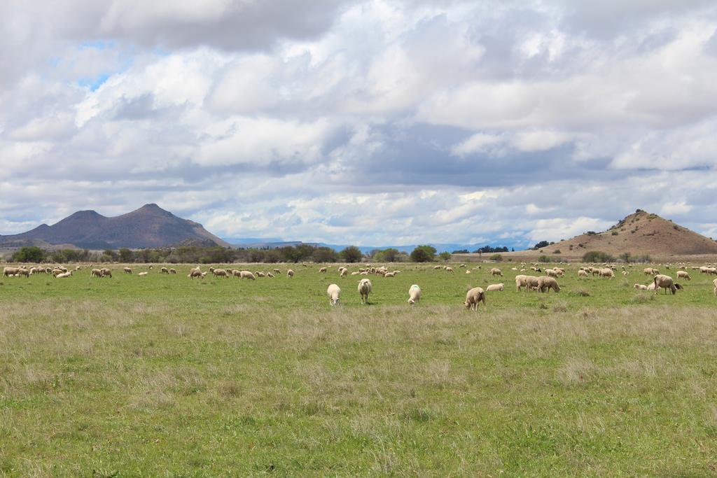 Beaconsfield Farm Βίλα Hofmeyr Εξωτερικό φωτογραφία